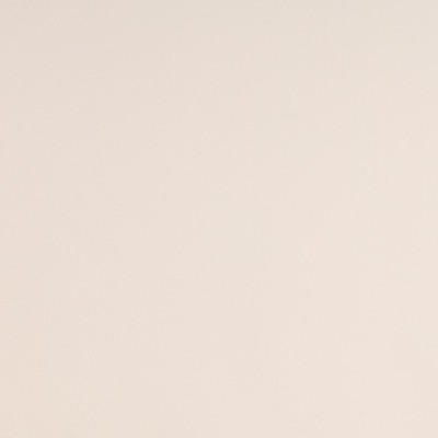 S5BPAB - Beige Panama Brillant 2